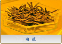 �x(ch��ng)��